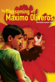 The Blossoming of Maximo Oliveros 2005 on netflix