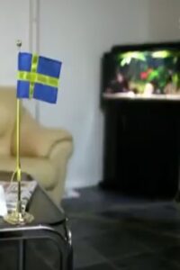 Sverigedemokraterna – vägen till riksdagen 2010 on netflix
