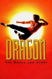 Dragon: The Bruce Lee Story 1993 on netflix