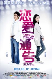 Love in Disguise 2010 on netflix