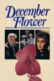 December Flower 1984 on netflix