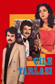 Çile Tarlası 1980 on netflix