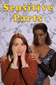 Sensitive Parts 2017 on netflix