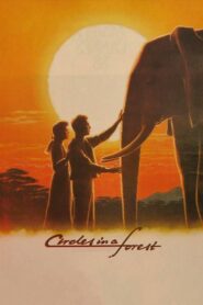 Circles in a Forest 1989 on netflix
