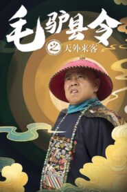 毛驴县令之天外来客 2016 on netflix