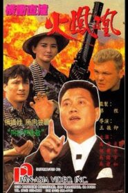 Fire Phoenix 1990 on netflix