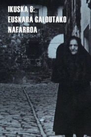 Ikuska 6: Euskara galdutako Nafarroa 1980 on netflix