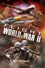 Flight World War II 2015 on netflix