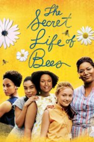 The Secret Life of Bees 2008 on netflix