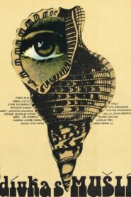 Girl with Shells 1981 on netflix