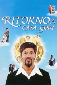 Ritorno a casa Gori 1996 on netflix