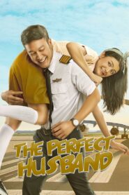 The Perfect Husband 2018 on netflix