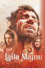 Laila Majnu 2018 on netflix
