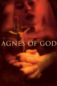 Agnes of God 1985 on netflix