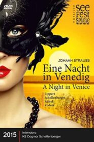 Eine Nacht in Venedig 2015 on netflix