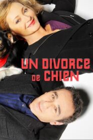 Un divorce de chien 2010 on netflix