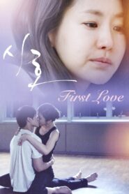 First Love 2020 on netflix