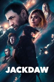 Jackdaw 2024 on netflix