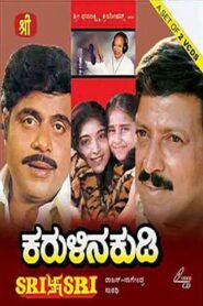 Karulina Kudi 1995 on netflix