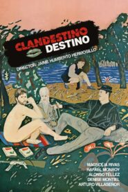 Clandestine Destiny 1987 on netflix