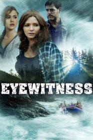 Eyewitness 2015 on netflix