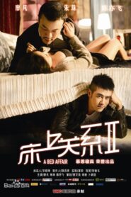 床上关系2 2014 on netflix