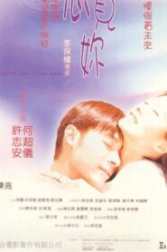 You Light Up My Life 1998 on netflix