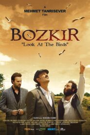 Bozkir “Look at the Birds” 2019 on netflix
