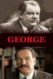 George 2013 on netflix