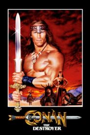 Conan the Destroyer 1984 on netflix