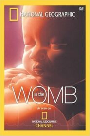 In The Womb 2005 on netflix