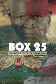 Box 25 2015 on netflix