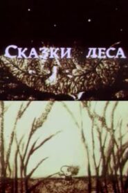 Forest Tales 1997 on netflix