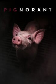 Pignorant 2024 on netflix