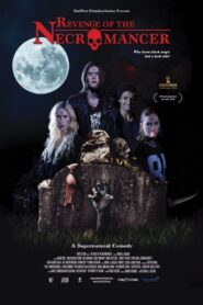 Revenge of the Necromancer 2018 on netflix