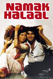 Namak Halaal 1982 on netflix