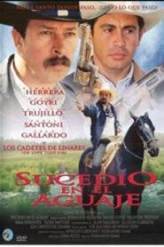 Sucedió en el aguaje 1998 on netflix