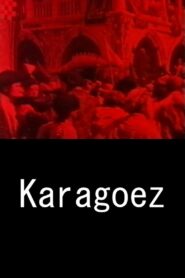 Karagoez catalogo 9,5 1981 on netflix