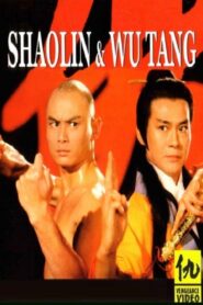 Shaolin and Wu Tang 1983 on netflix