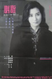 The Story of Taipei Women 1992 on netflix