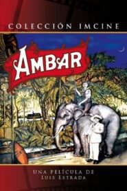 Amber 1994 on netflix