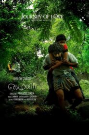 Mynaa 2010 on netflix