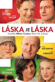 Love Is Love 2012 on netflix