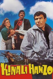 Kınalı Hanzo 1989 on netflix