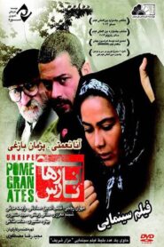 Unripe Pomegranates 2014 on netflix