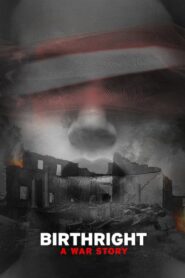 Birthright: A War Story 2017 on netflix