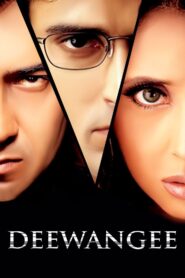 Deewangee 2002 on netflix