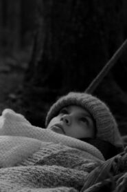 The Body Is Getting Cold 2024 on netflix