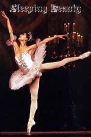 Sleeping Beauty 1991 on netflix