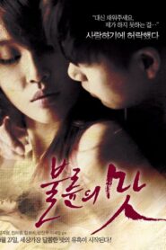 The Taste of an Affair 2014 on netflix